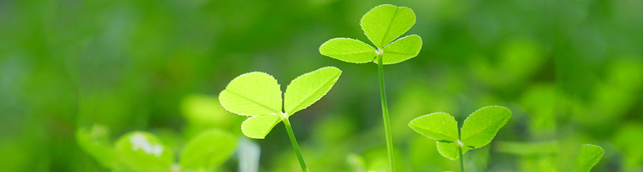 アスベスト除去工事